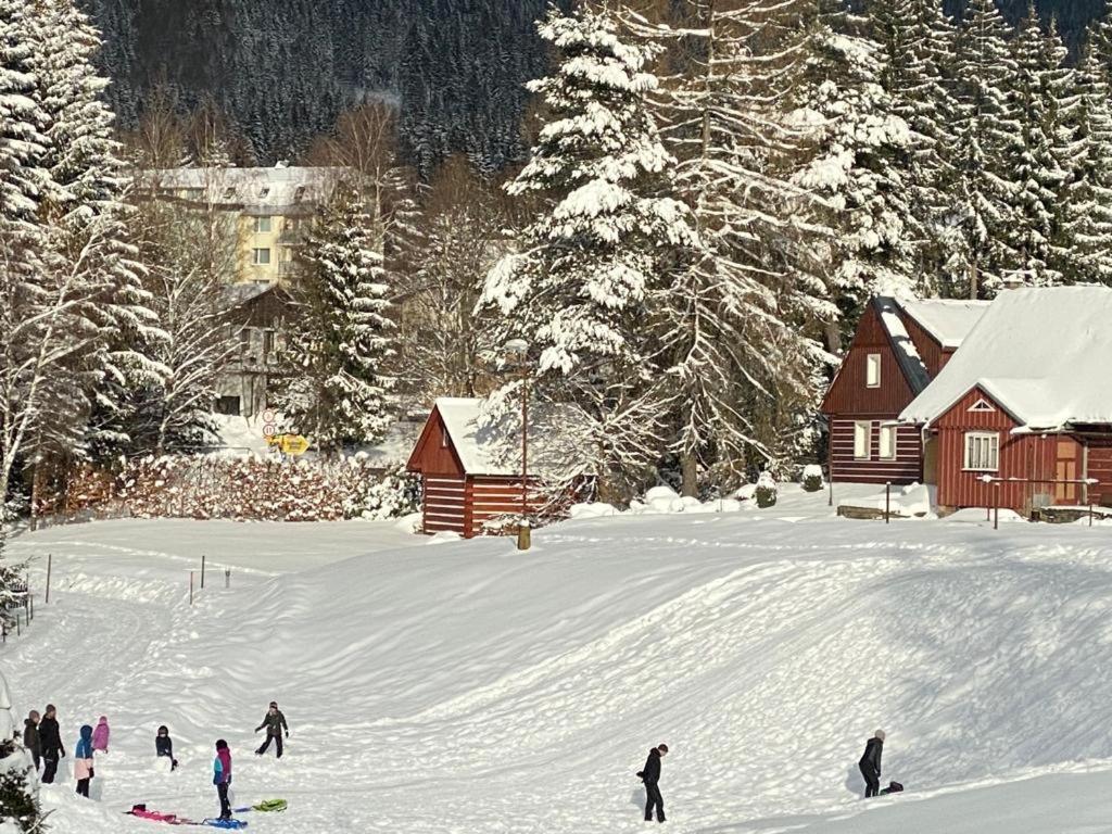 Spirit Harrachov Superior Wellness Apartments - Free Wellness, Wifi, Parking, Harrachov Card Exterior foto